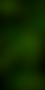 SL24_Electric Green_Background_Gradient.png